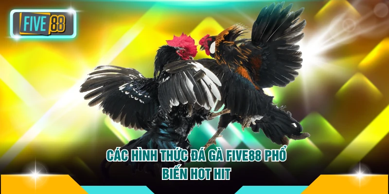 Các hình thức đá gà FIVE88 phổ biến hot hit