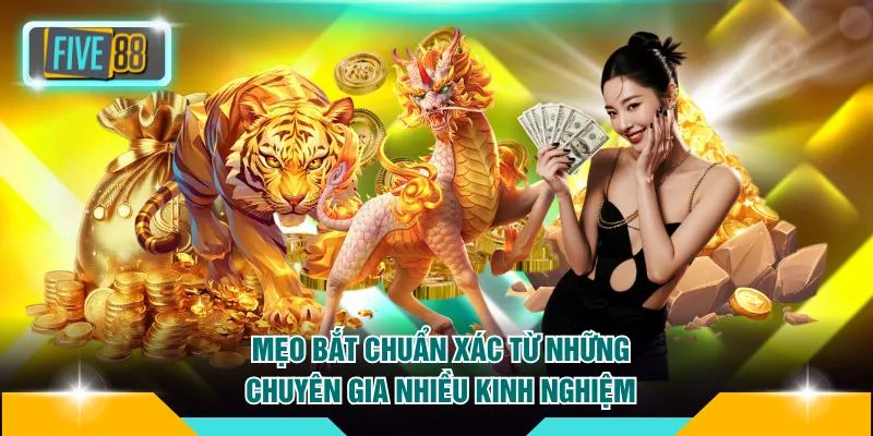 Mẹo bắt chuẩn xác từ những chuyên gia nhiều kinh nghiệm