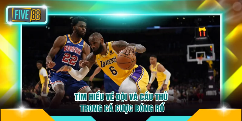 Tìm hiểu về đội và cầu thủ trong cá cược bóng rổ