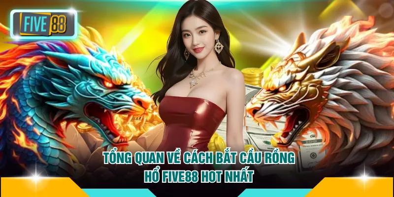 Tổng quan về cách bắt cầu Rồng Hổ FIVE88 hot nhất